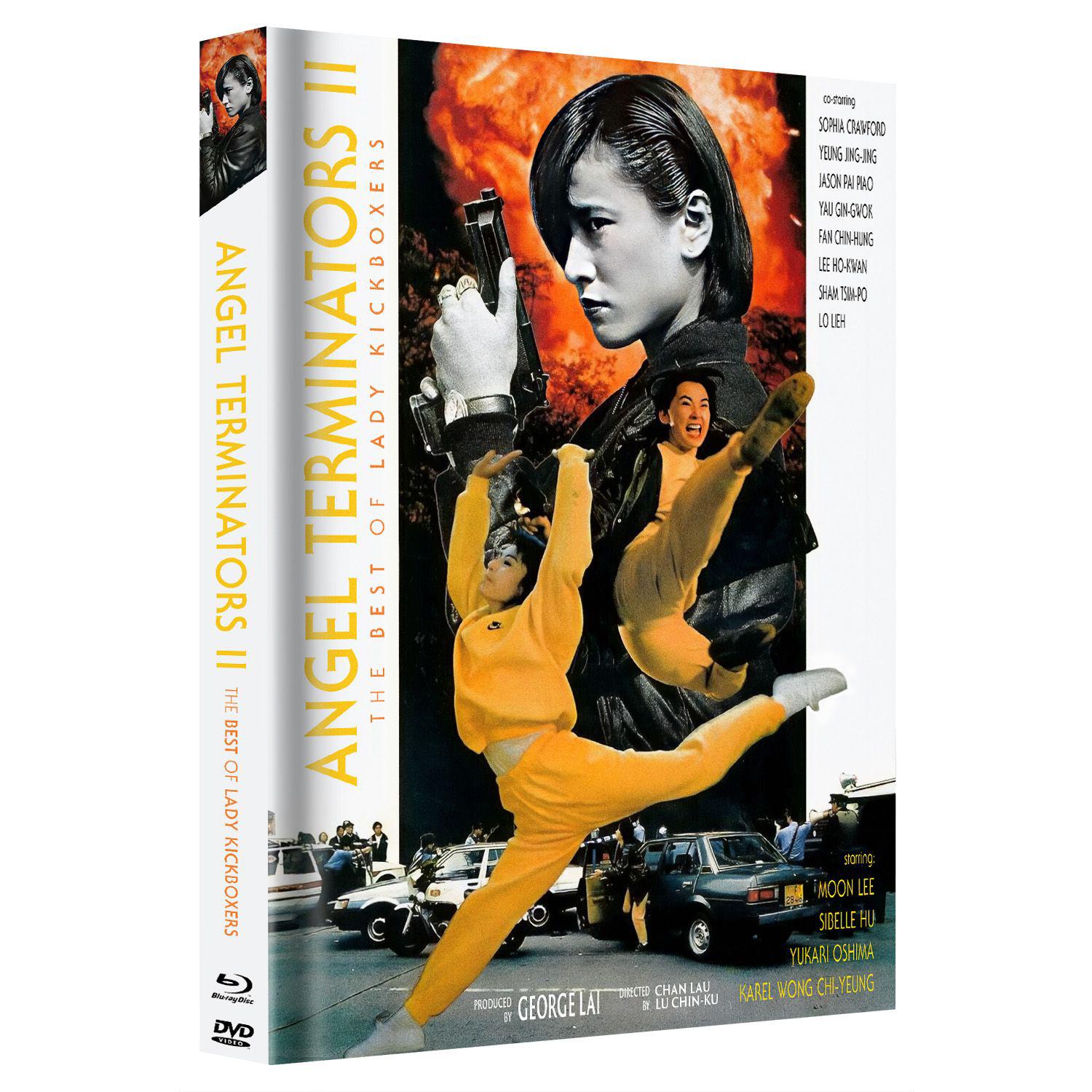 Angel Terminators 2 Mediabook Cover E