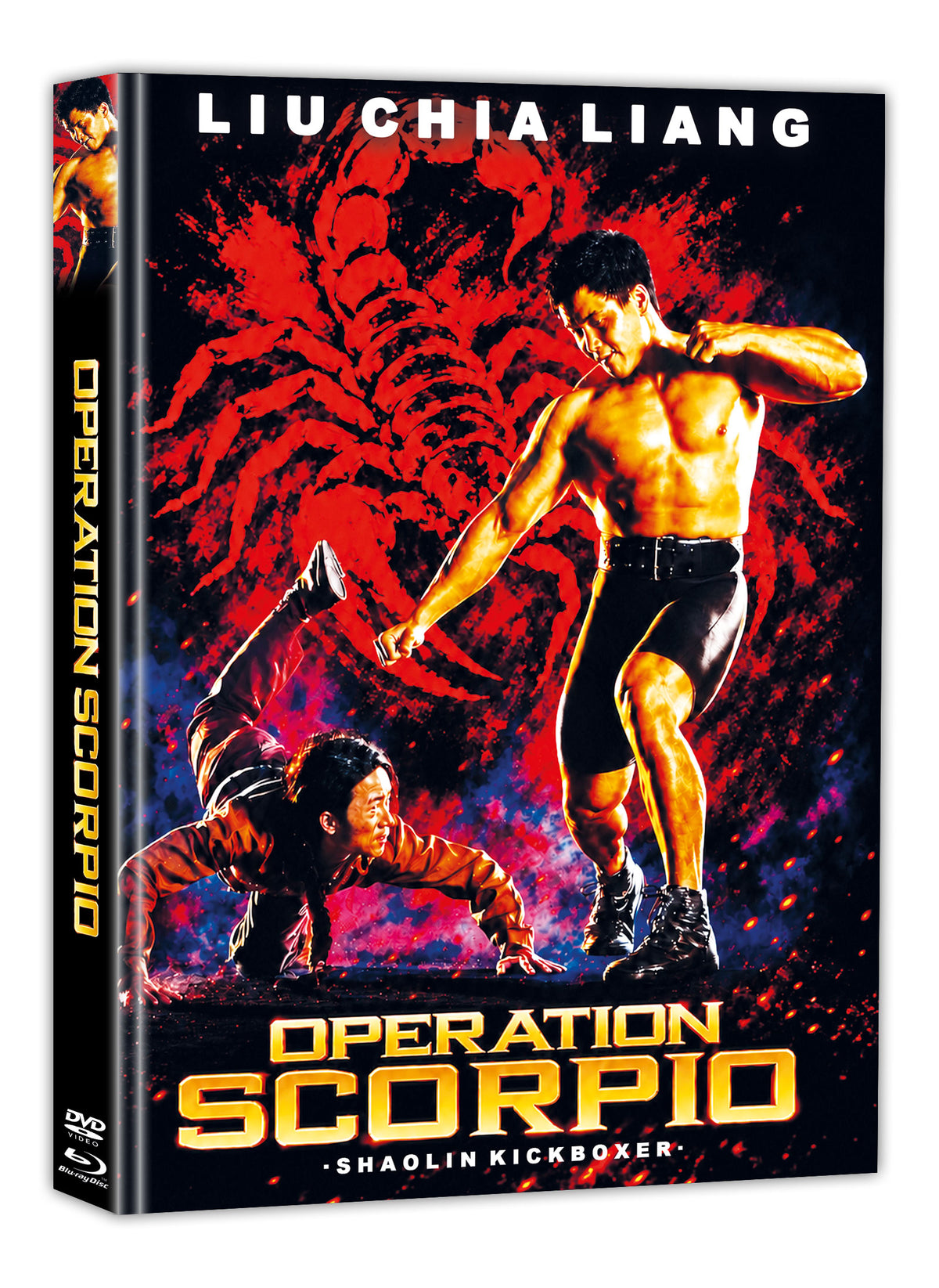 Shaolin Kickboxer Mediabook Cover D