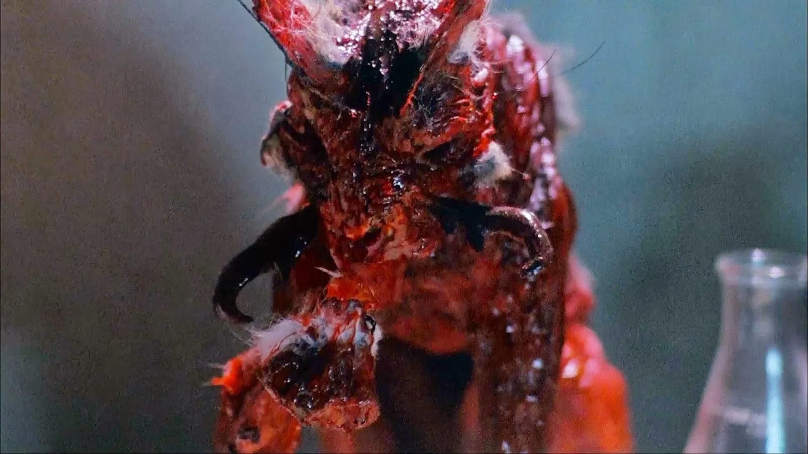 Das Nest Steel Premium Book mit Prägung Variante A mit Quarterslip